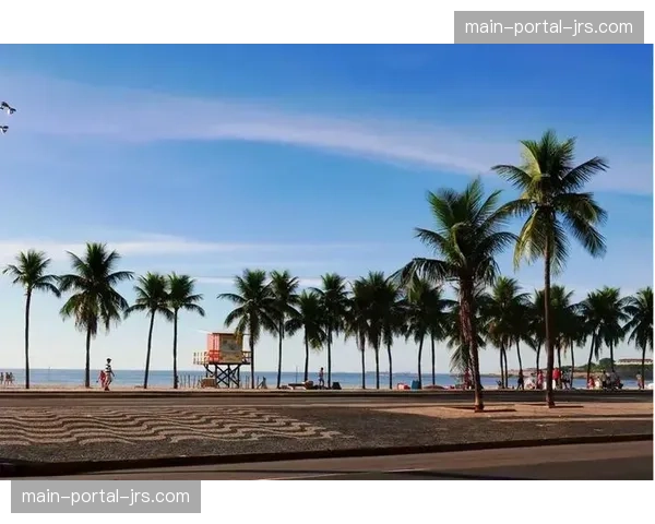 巴西里约热内卢贫民窟社区格斗项目报告显示青少年犯罪率下降